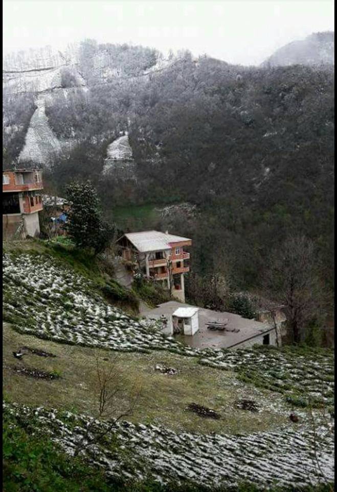 Ardeşen Pınarlı Köyü Resimleri 4