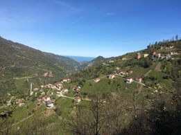 Ardeşen Pınarlı Köyü Resimleri 6