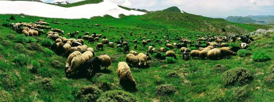 Tatvan Dalda Köyü Resimleri 4