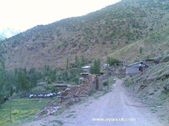 Tatvan Dönertaş Köyü Resimleri 1