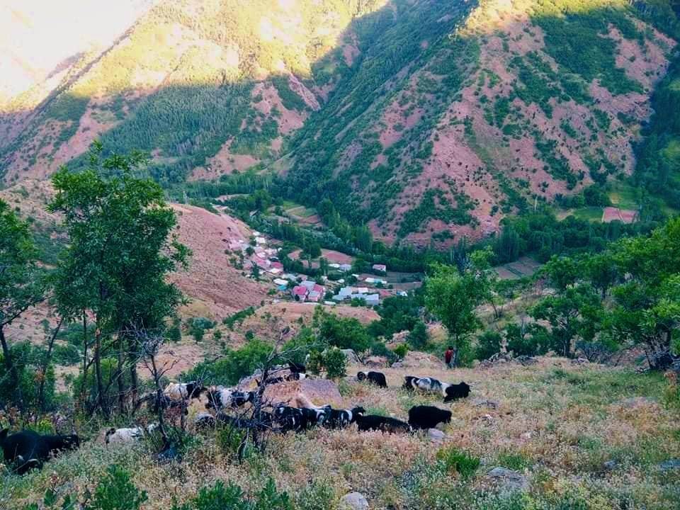 Tatvan Dönertaş Köyü Resimleri 8