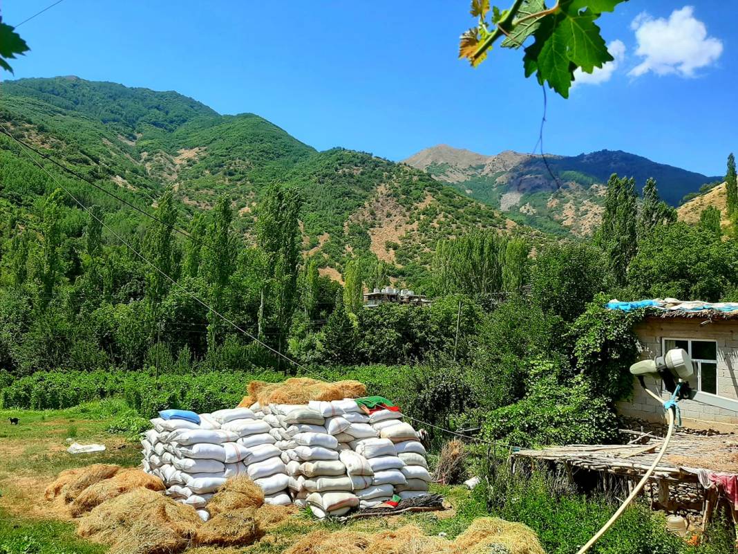 Tatvan Dönertaş Köyü Resimleri 9