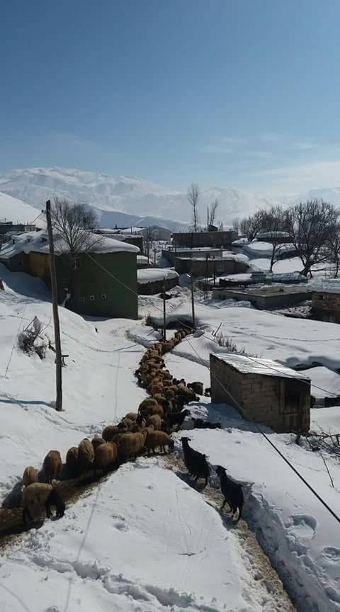 Tatvan Eğritaş Köyü Resimleri 3