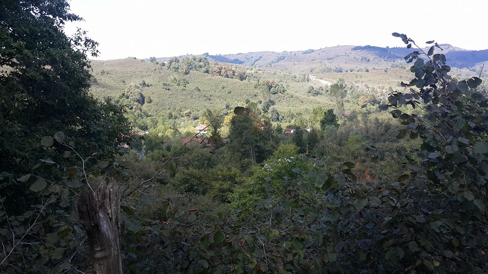 Kocaali Köyyeri  Köyü Resimleri 1