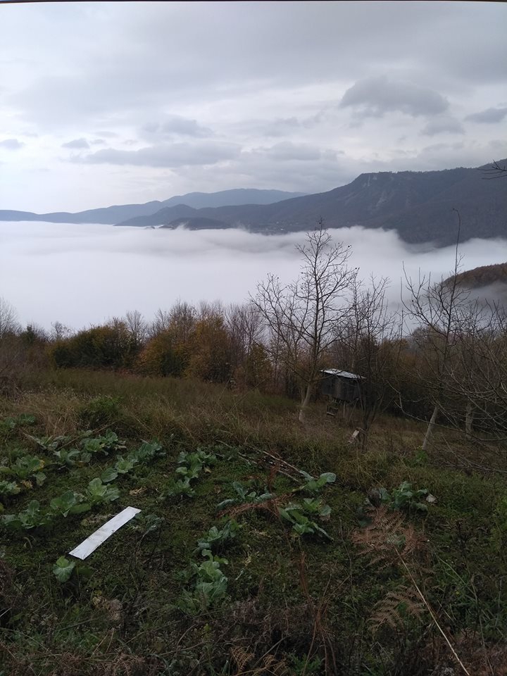 Kocaali Köyyeri  Köyü Resimleri 2