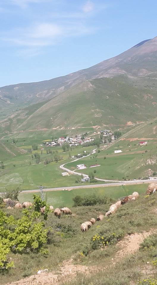 Tatvan Kırkbulak Köyü Resimleri 5