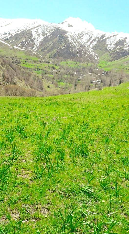 Tatvan Koruklu Köyü Resimleri 2