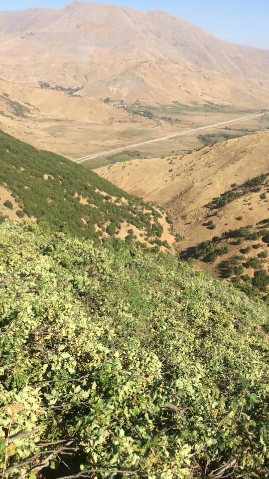 Tatvan Küçüksu Köyü Resimleri 9