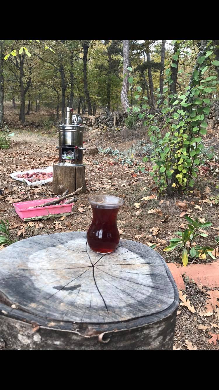 Bozüyük Ormangüzle Köyü Resimleri 4