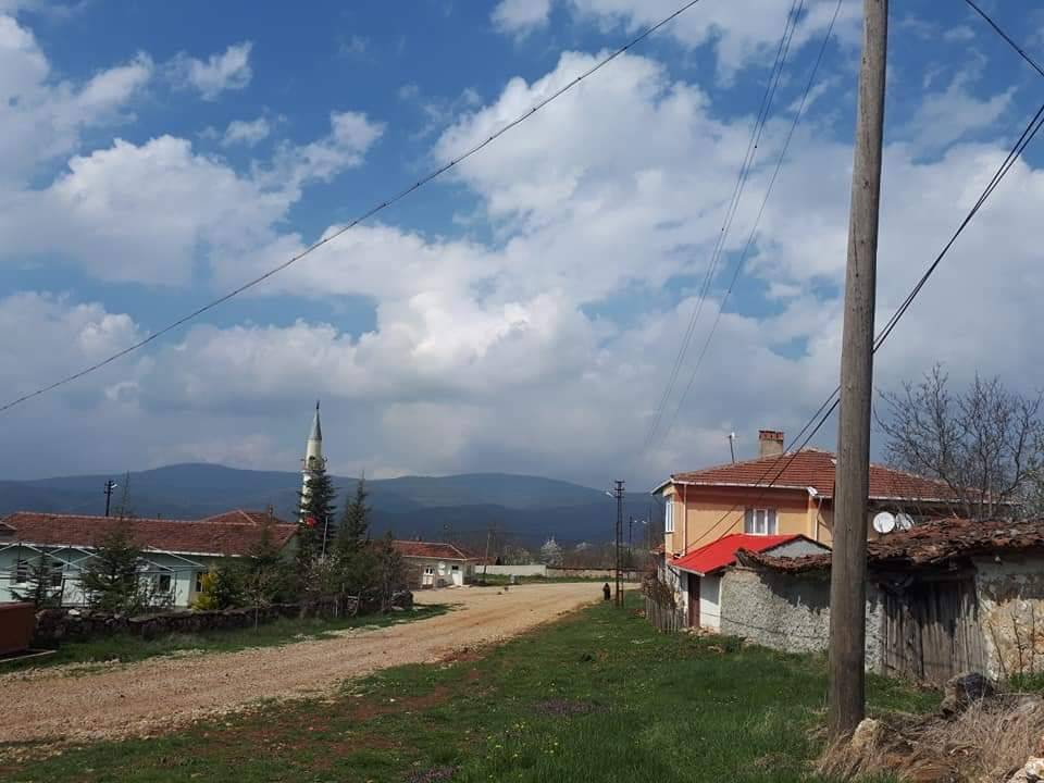 Bozüyük Ormangüzle Köyü Resimleri 5