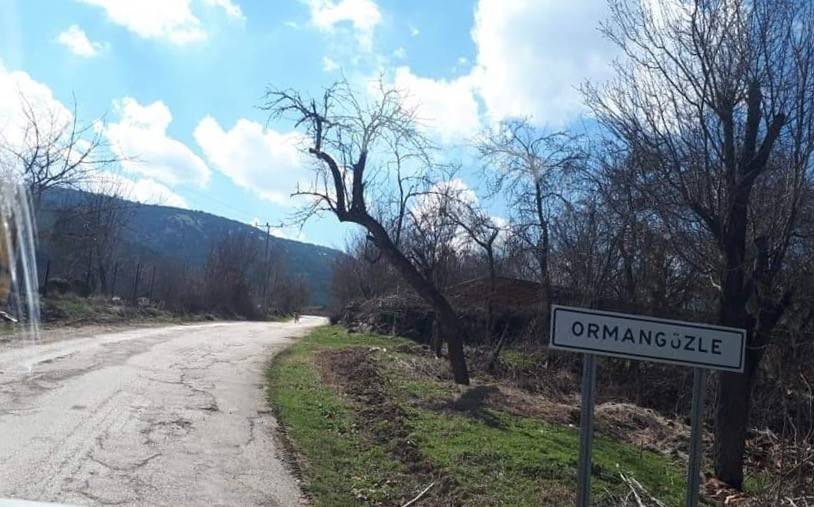 Bozüyük Ormangüzle Köyü Resimleri 8