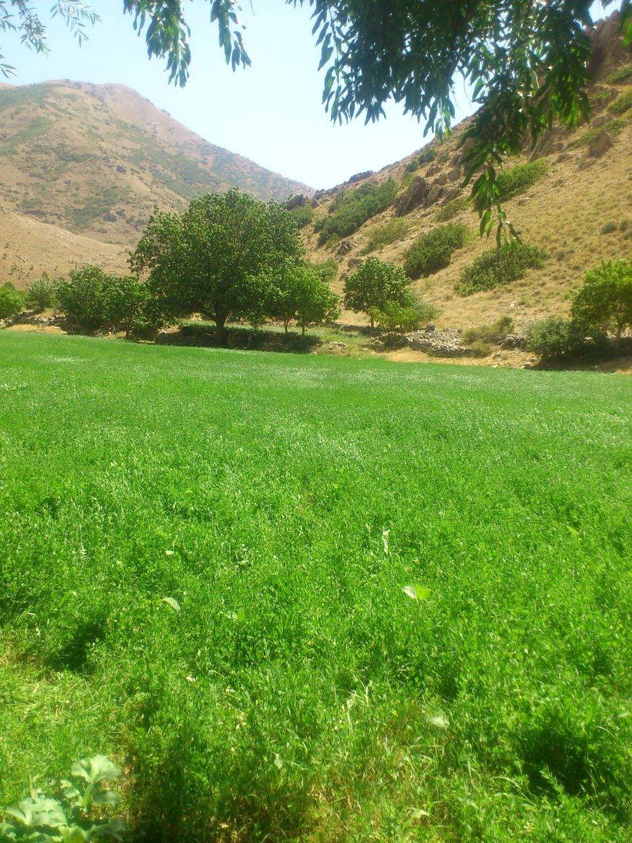 Tatvan Sallıca Köyü Resimleri 2