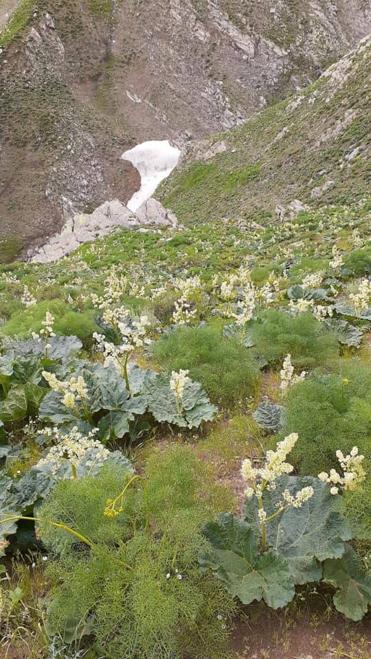 Tatvan Sallıca Köyü Resimleri 26
