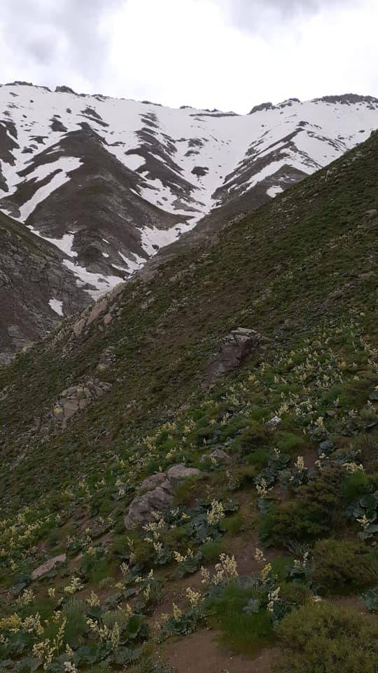 Tatvan Sallıca Köyü Resimleri 27