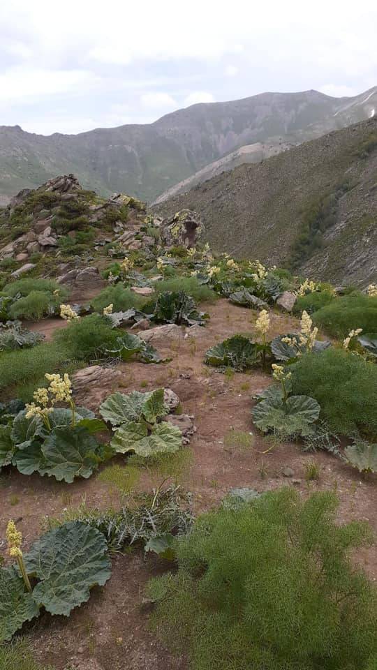 Tatvan Sallıca Köyü Resimleri 28