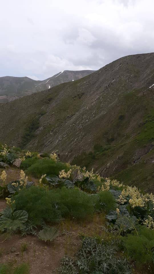 Tatvan Sallıca Köyü Resimleri 29