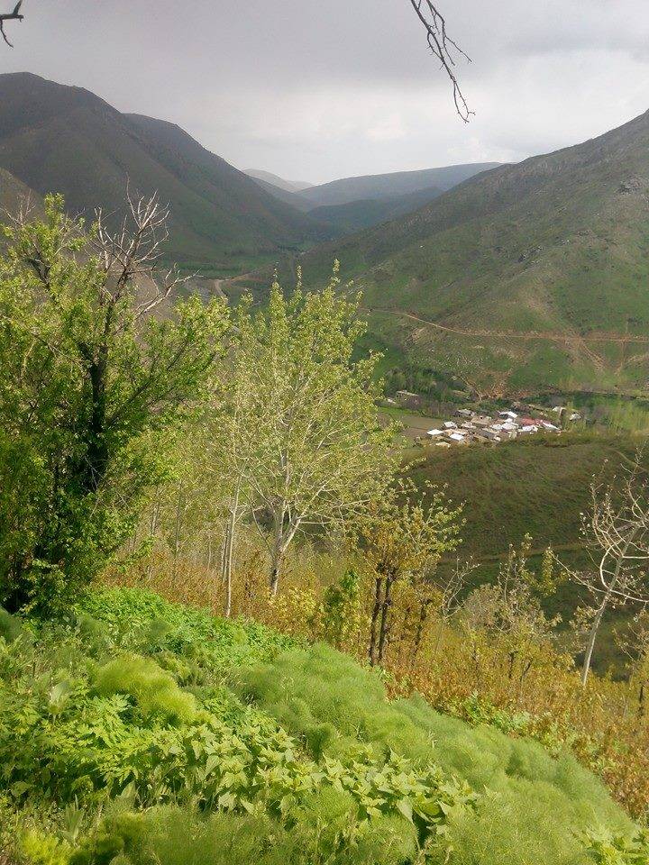 Tatvan Sallıca Köyü Resimleri 4