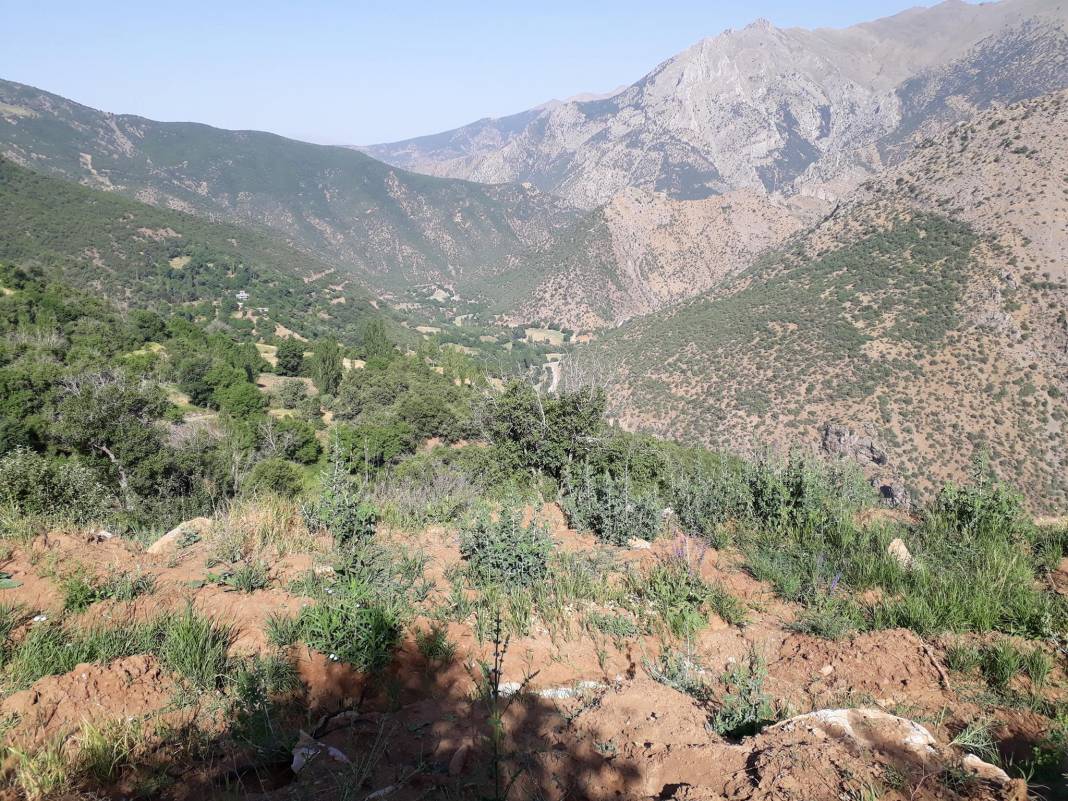 Tatvan Sarıdal Köyü Resimleri 5