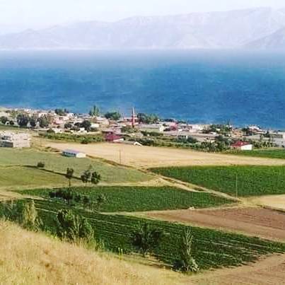 Tatvan Sarıkum Köyü Resimleri 2