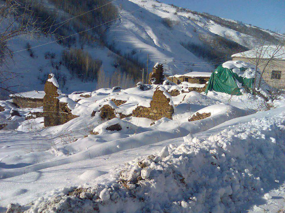 Tatvan Söğütlü Köyü Resimleri 1