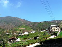 Ardeşen Şehitlik Köyü Resimleri 4