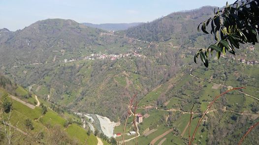 Ardeşen Şehitlik Köyü Resimleri 5