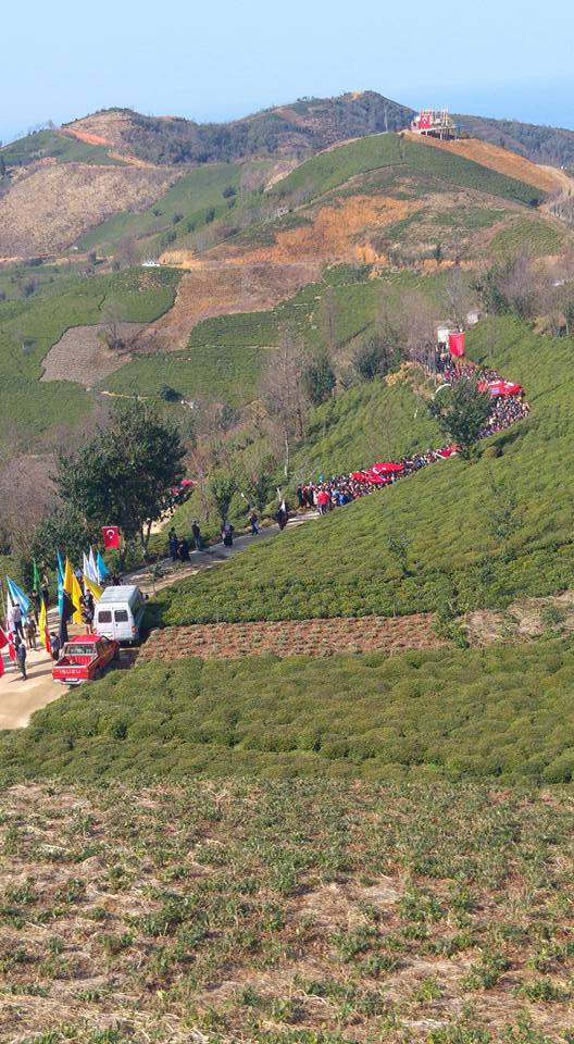 Ardeşen Şehitlik Köyü Resimleri 9