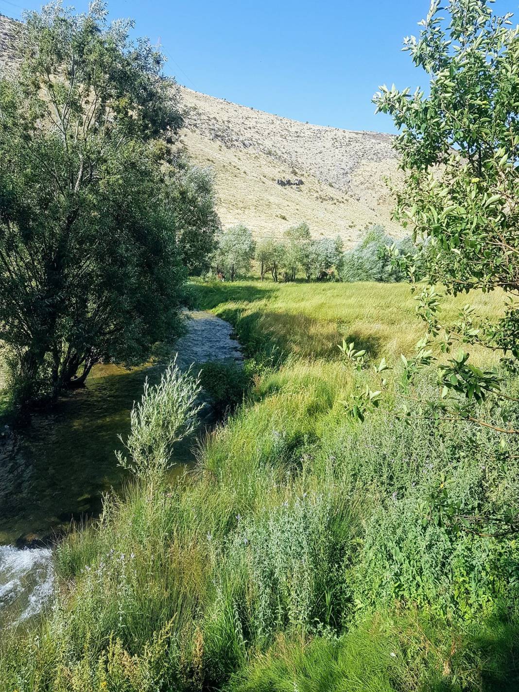 Tatvan Topraklı Köyü Resimleri 6