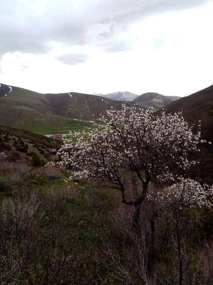 Tatvan Tosunlu Köyü Resimleri 11