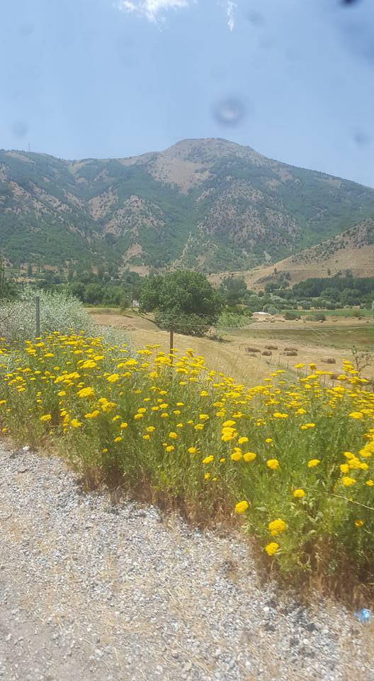 Tatvan Tosunlu Köyü Resimleri 4