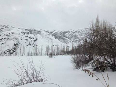 Tatvan Ulusoy Köyü Resimleri 1