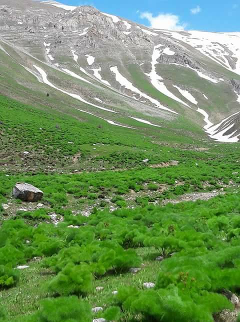 Tatvan Yoncabaşı  Köyü Resimleri 3