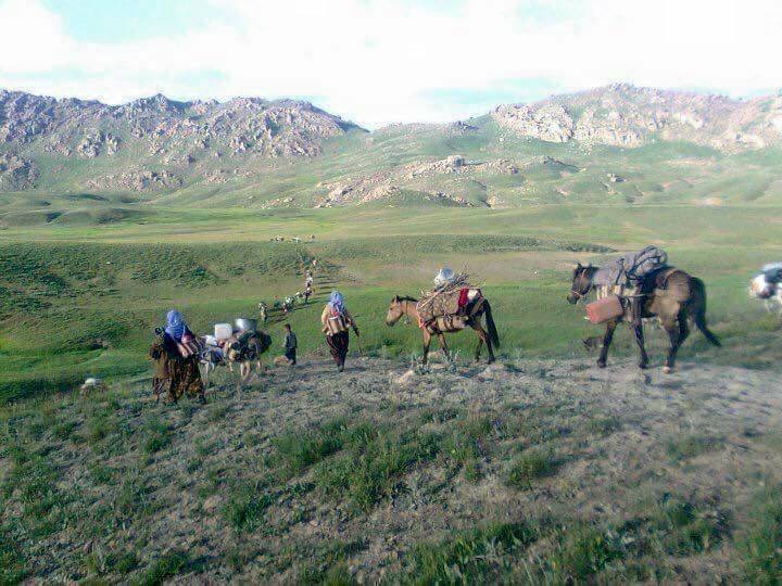 Bitlis Ağaçköprü Köyü Resimleri 1