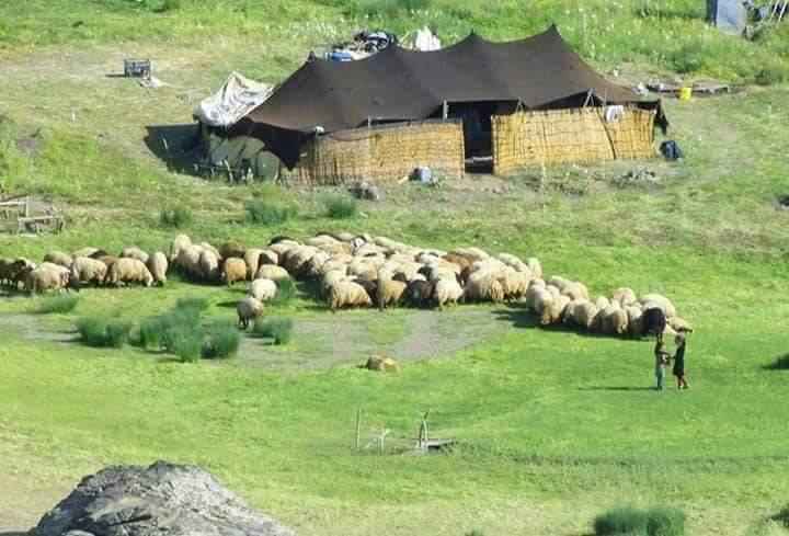Bitlis Ağaçköprü Köyü Resimleri 3