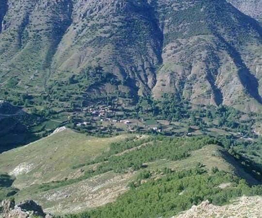 Bitlis Ağaçköprü Köyü Resimleri 7