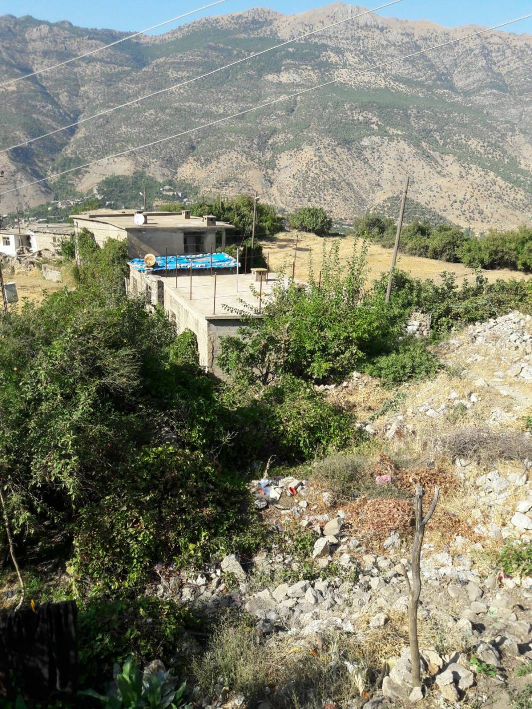 Bitlis Ağaçpınar Köyü Resimleri 4