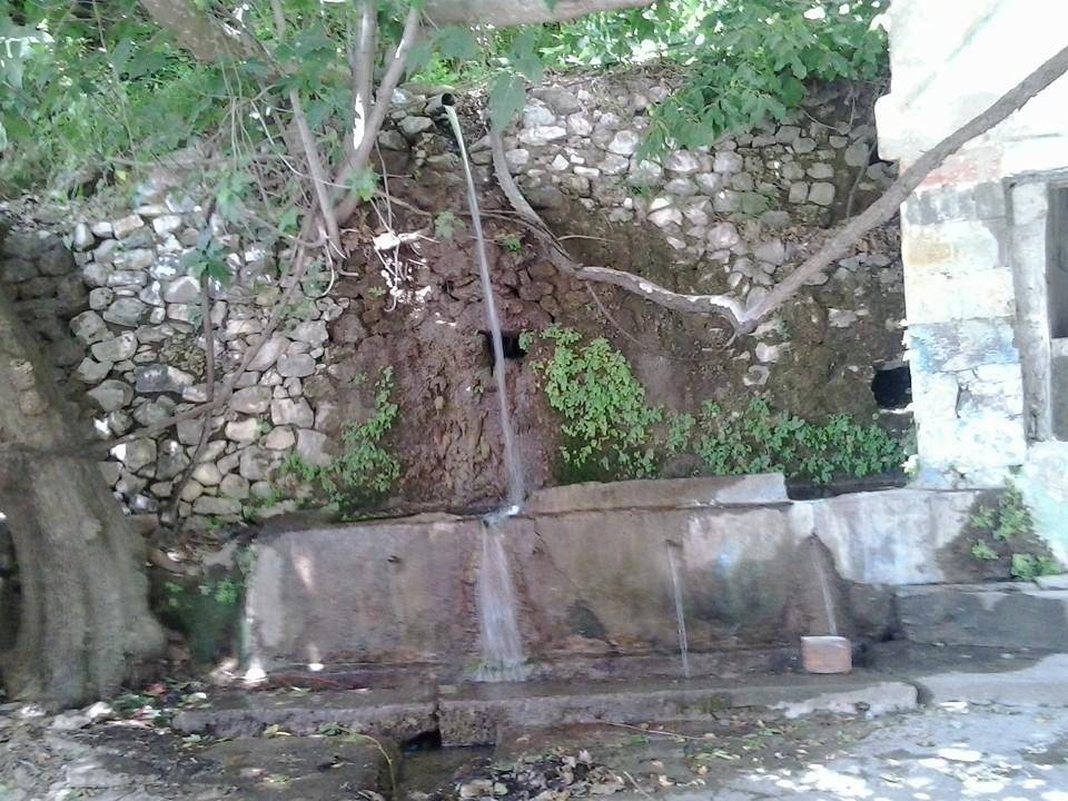 Bitlis Alaniçi Köyü Resimleri 1