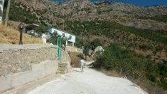 Bitlis Alaniçi Köyü Resimleri 6