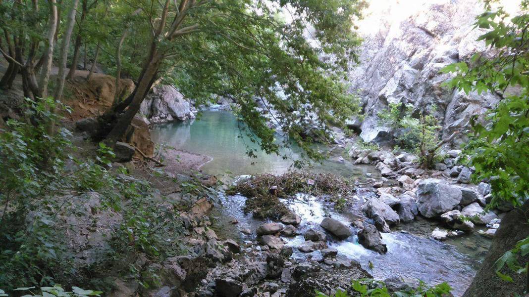 Bitlis Alaniçi Köyü Resimleri 7