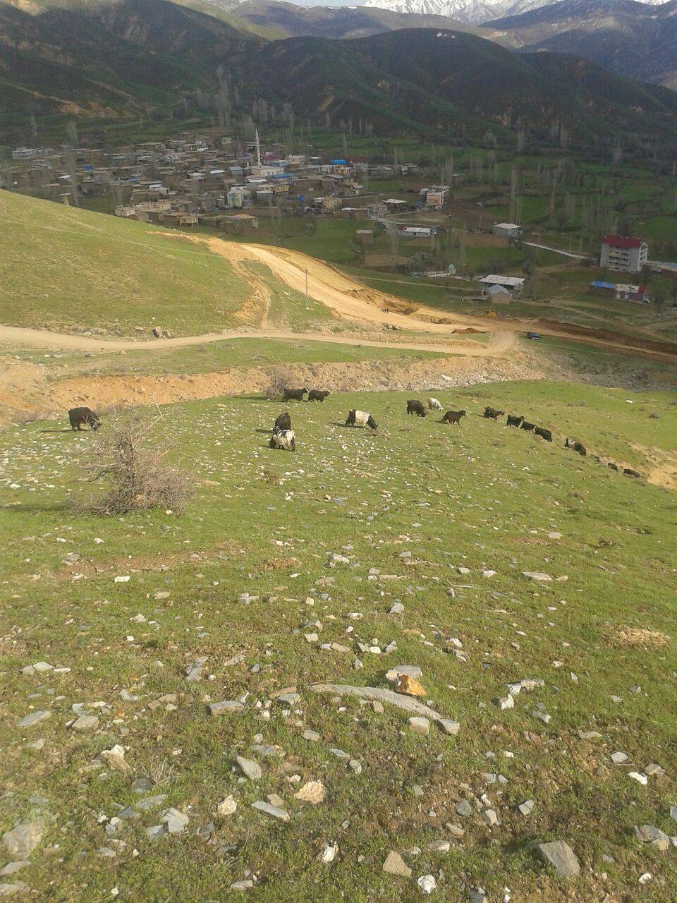 Bitlis Arıdağ Köyü Resimleri 6