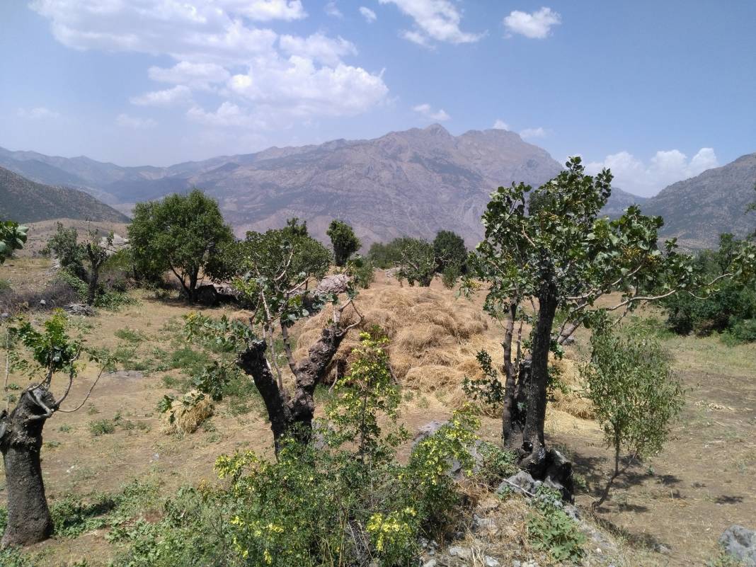 Bitlis Ayrancılar Köyü Resimleri 4