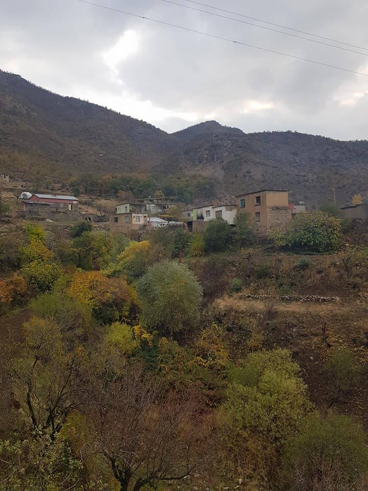 Bitlis Ayrancılar Köyü Resimleri 5