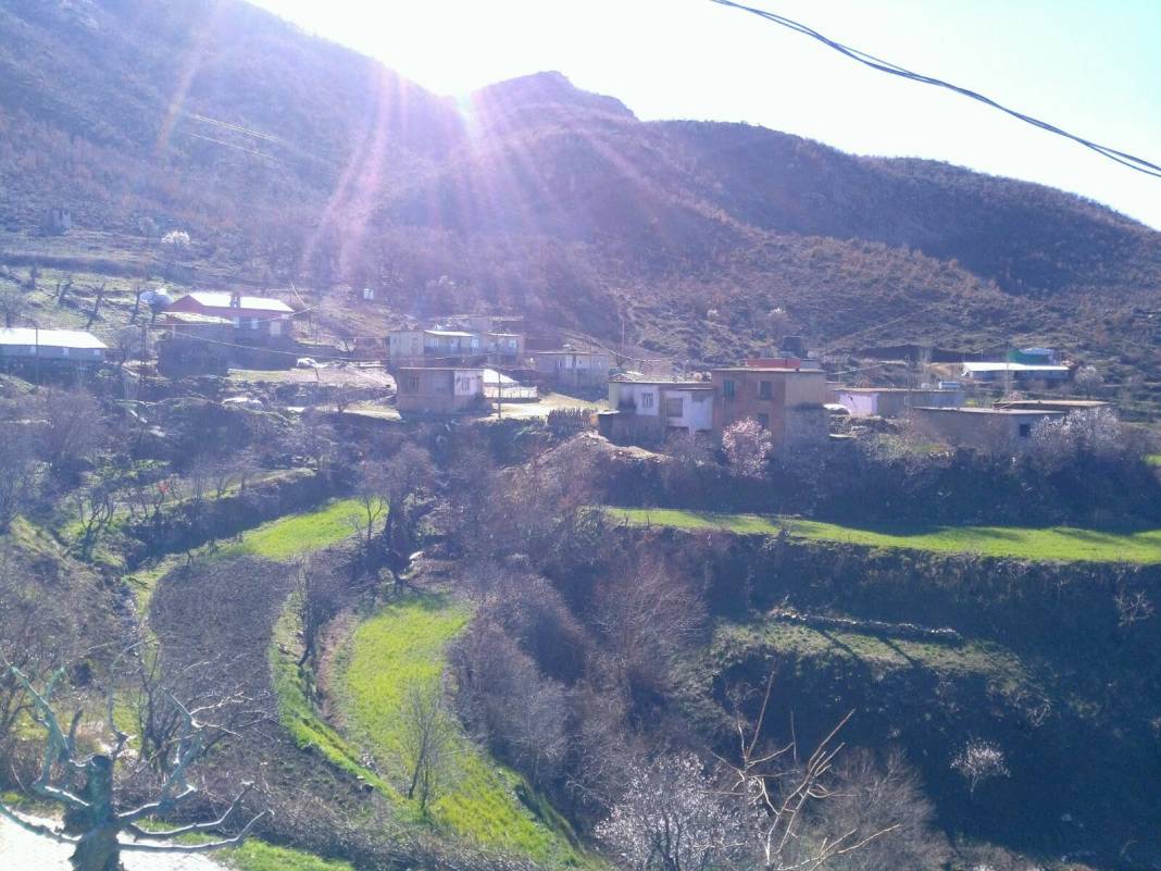 Bitlis Ayrancılar Köyü Resimleri 8