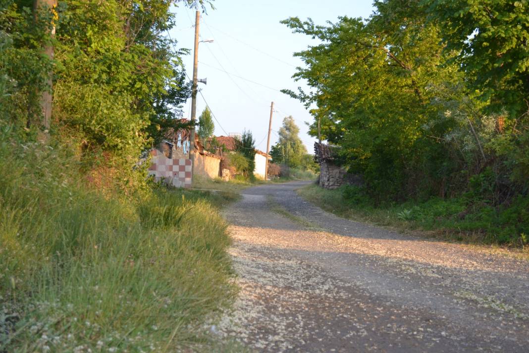 Bozüyük Yenidodurga Köyü Resimleri 10