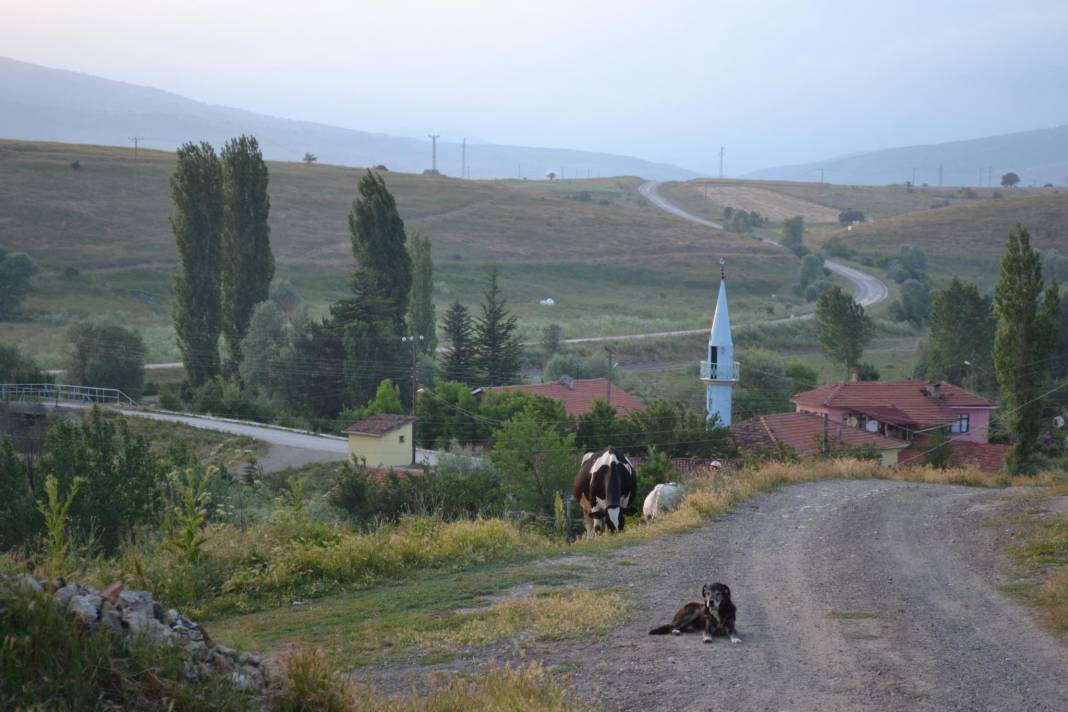 Bozüyük Yenidodurga Köyü Resimleri 6