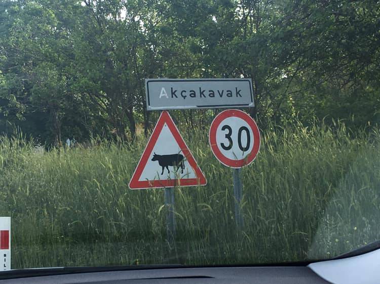 Gölpazarı Akçakavak Köyü Resimleri 7