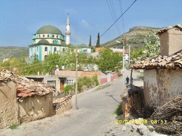 Gölpazarı Alıç Köyü Resimleri 8