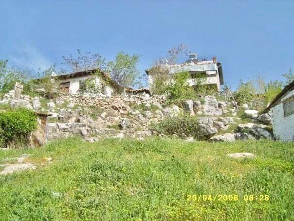 Gölpazarı Bedi Köyü Resimleri 10