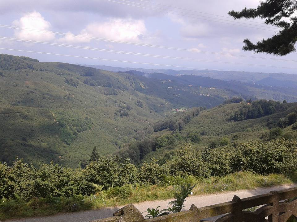 Kocaali Merkez Köyü Resimleri 8