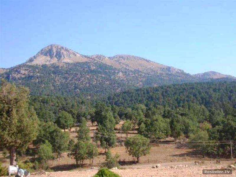 Altınyayla Çörten Köyü Resimleri 2